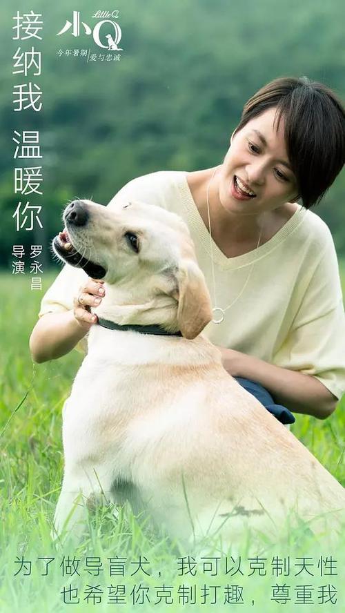 农村不动产证能抵押吗